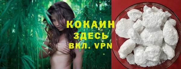 шишки Алексеевка