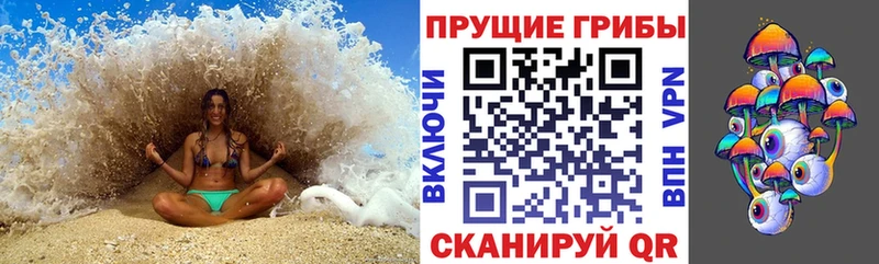 Псилоцибиновые грибы Psilocybe Черкесск