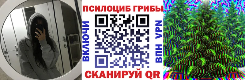 Галлюциногенные грибы прущие грибы  Черкесск 