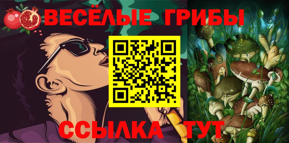 Псилоцибиновые грибы мухоморы Черкесск